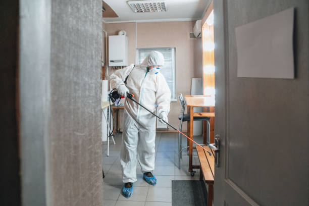 Best Mold Prevention Services  in Santa Venetia, CA